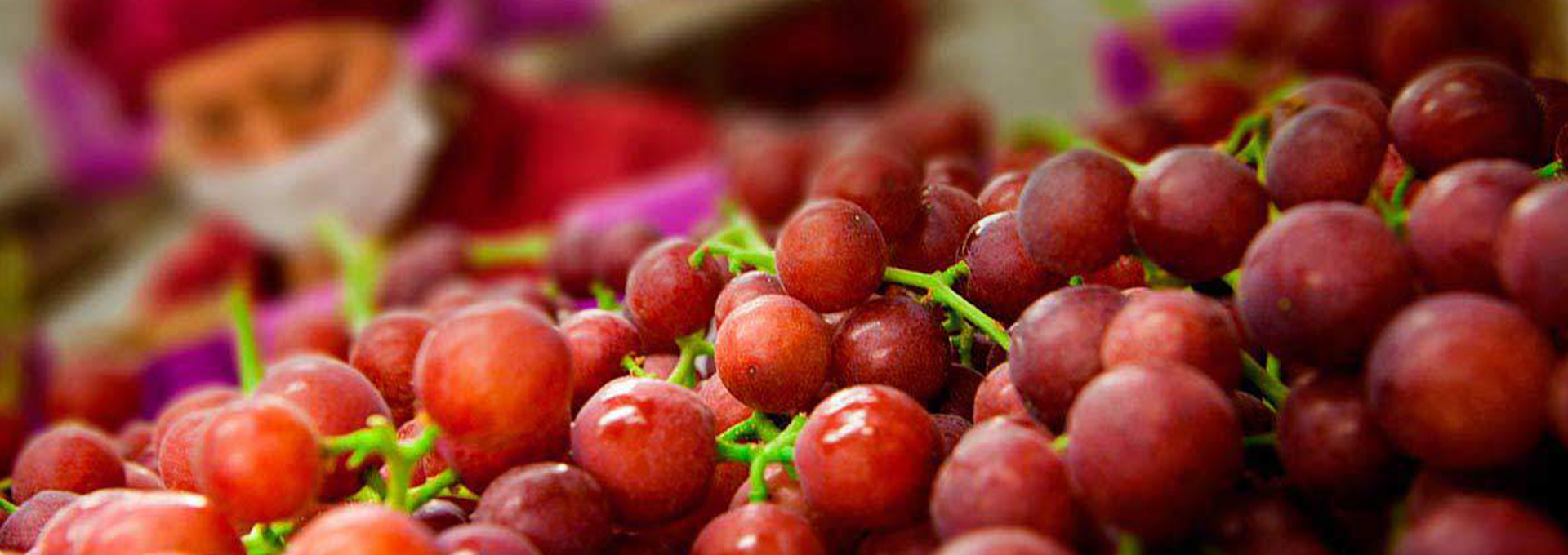 Frutos peruanos: Inversiones y crecimiento económico que experimenta Perú