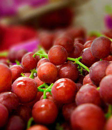 Frutos peruanos: Inversiones y crecimiento económico que experimenta Perú