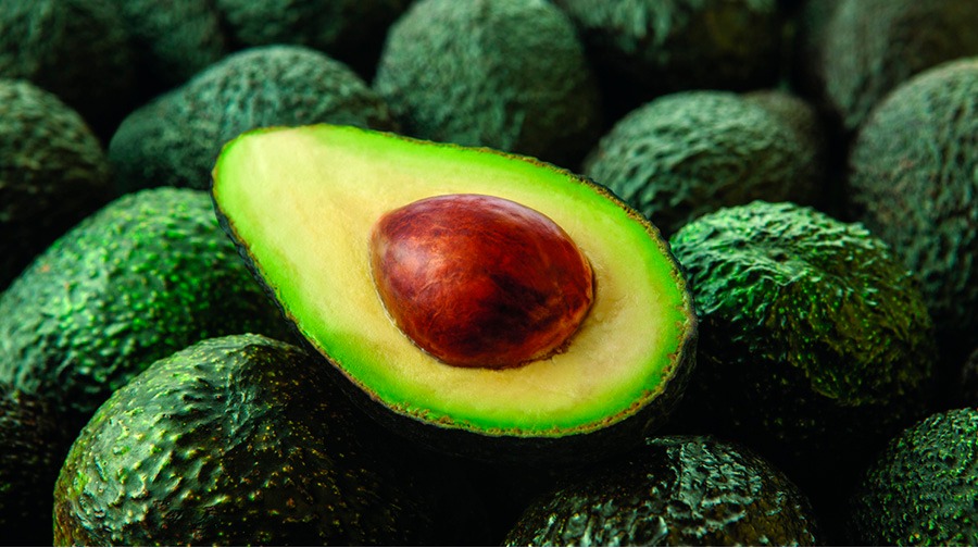 This magnificent Super Food is full of health benefits.