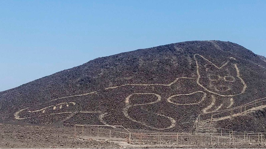 Paracas feline geoglyph linked to iconography in ceramics and textiles