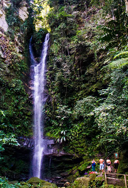 Ahuashiyacu Waterfall | San Martin