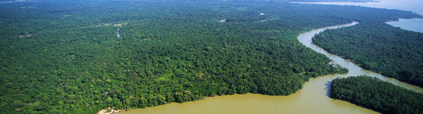 Loreto Rainforest Cruise | Loreto