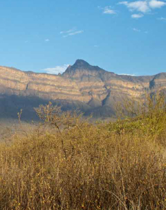 Reserva Ecológica Chaparrí | Lambayeque