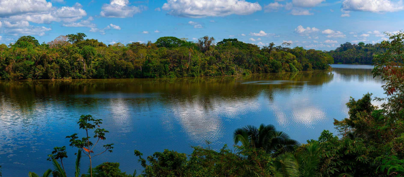 Tambopata National Reserve | Madre de Dios