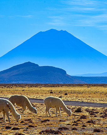 Arequipa: locaciones increíbles en la tierra de los volcanes
